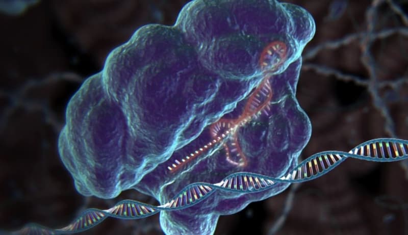 Sydney Science Festival: Biohacking