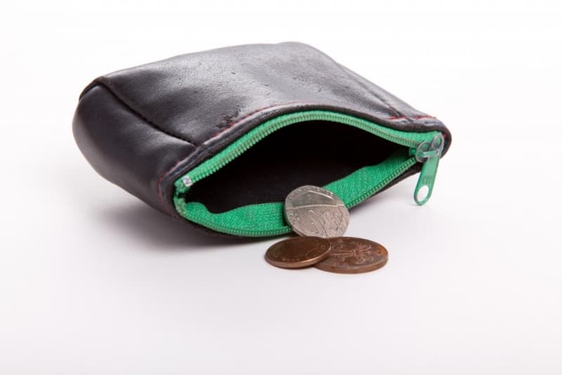 Economic Costs of Domestic Violence