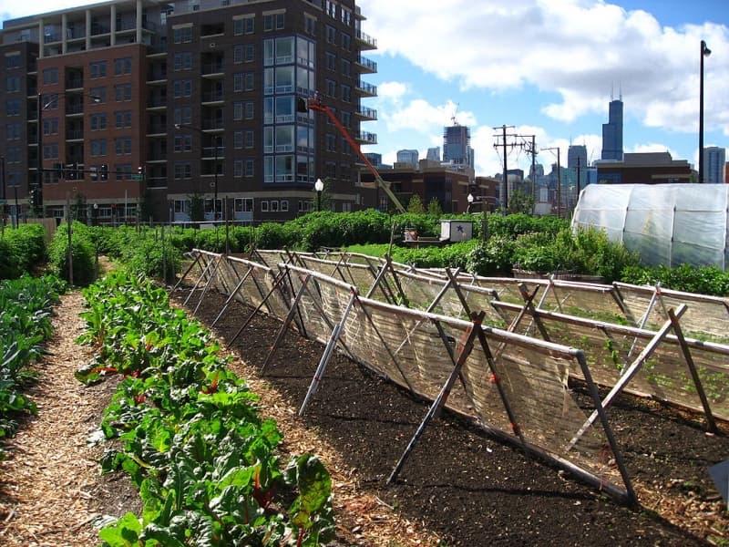Is there an Urban Farm coming to a block near you?
