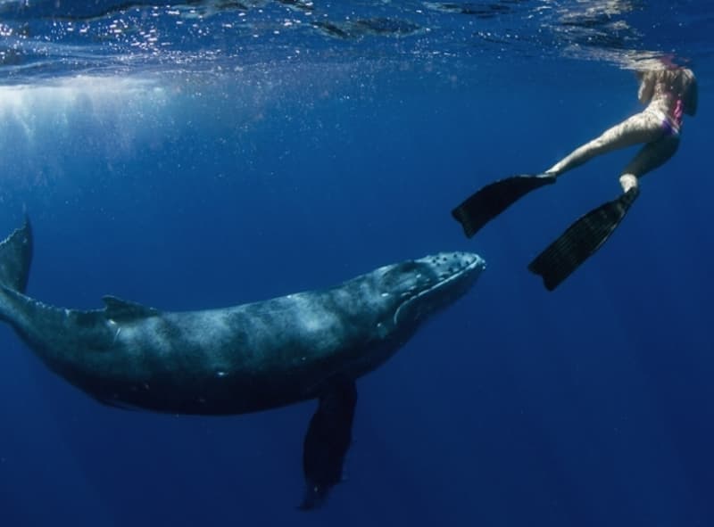 Ocean Zen is making sustainable swimwear from discarded plastics