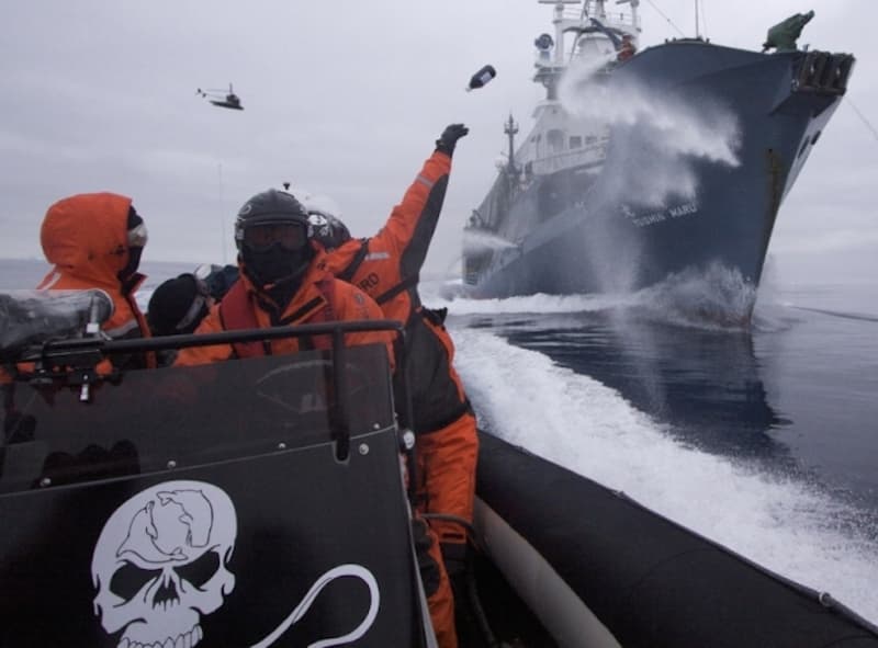 Japanese Whalers caught in Antarctica