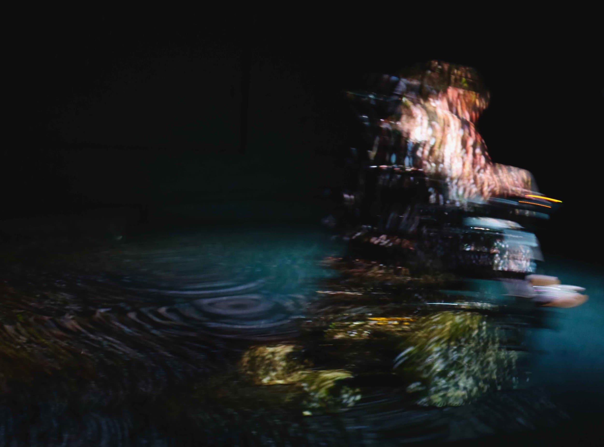 PACT Salon: Skeletons and Self Portraits