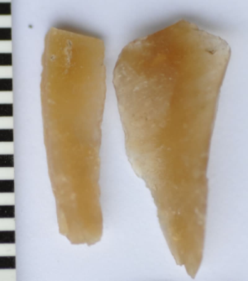 One year on: what’s happened to the Randwick Aboriginal artifact find?