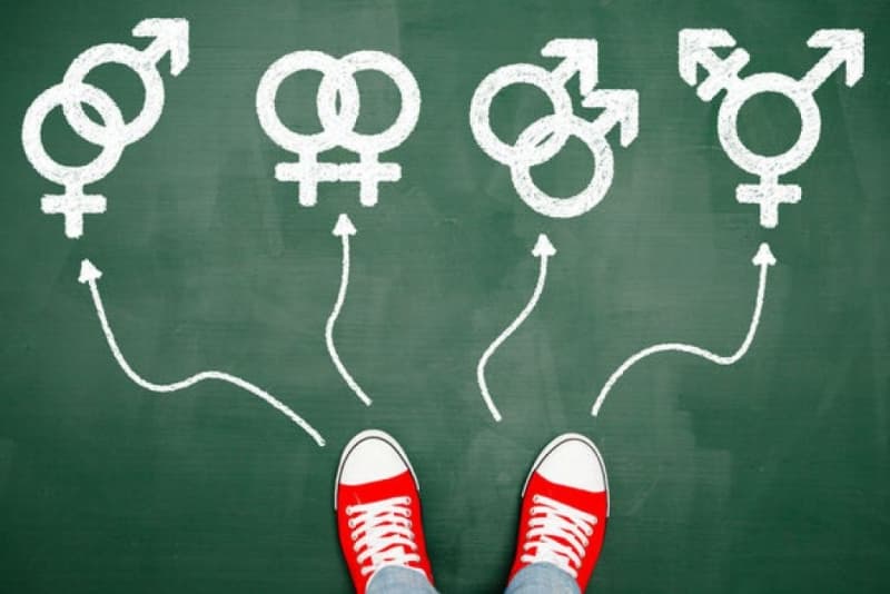 Update on Safe Schools