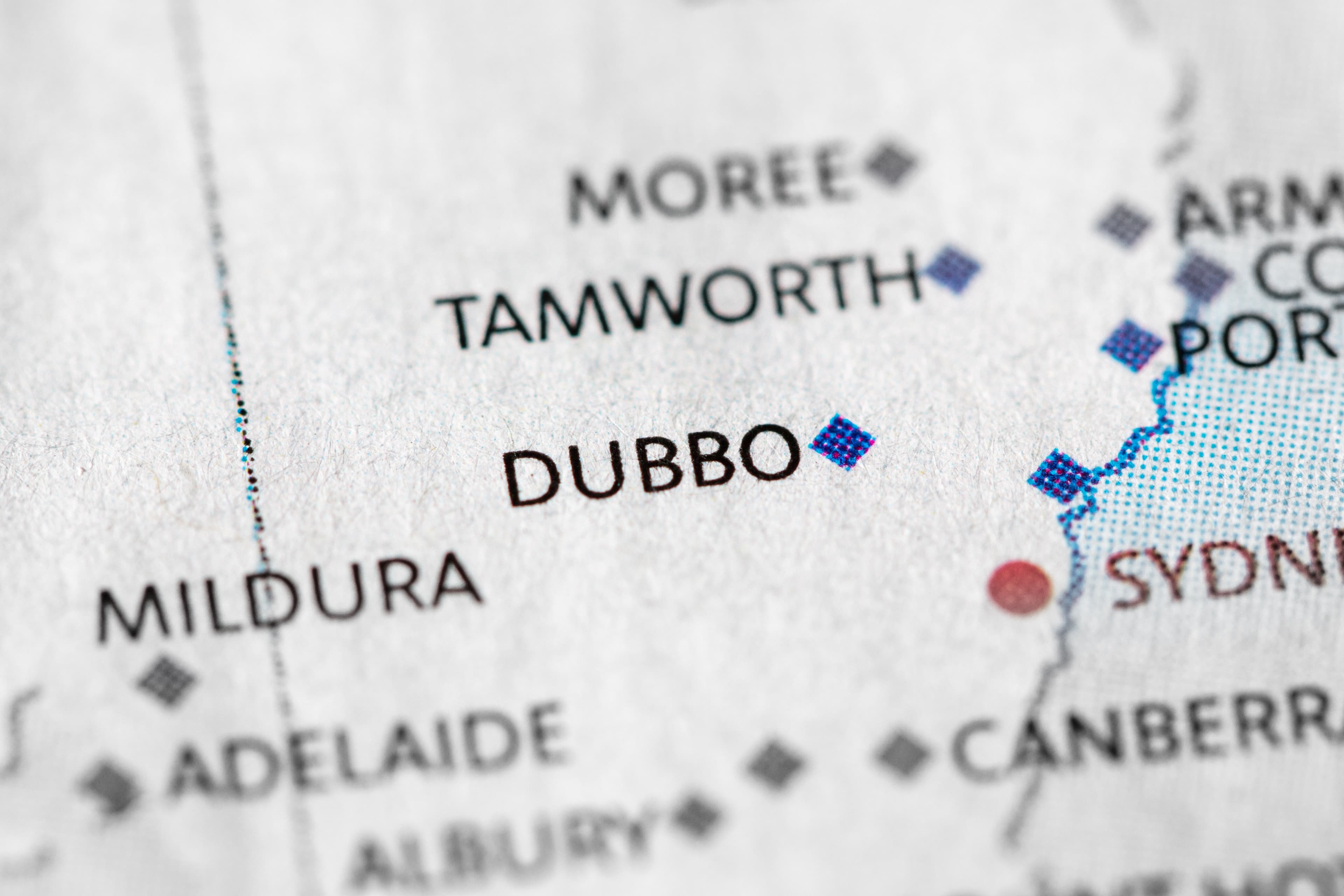 Attack of the Native Wildlife at DCFM?