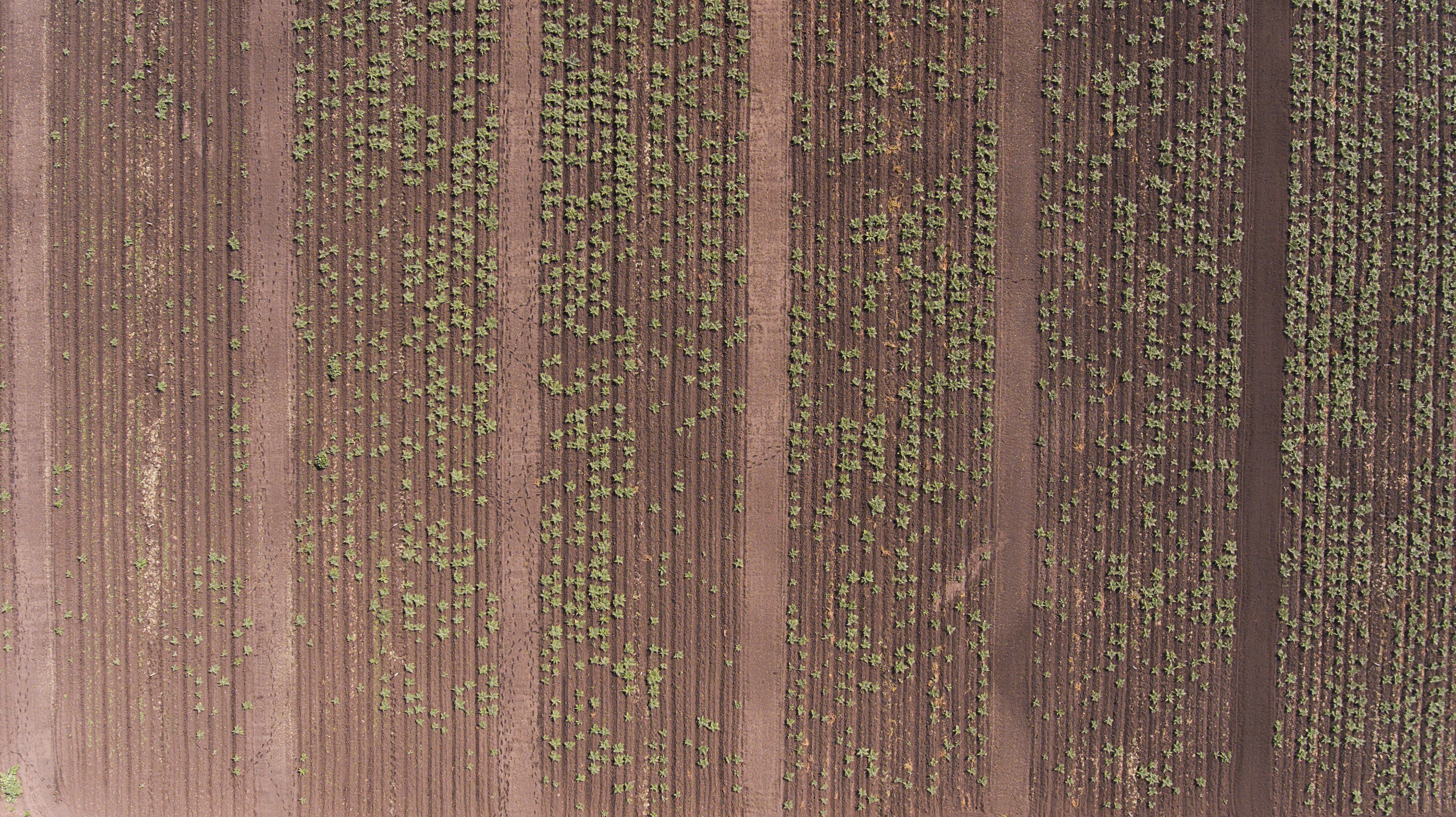 More Civil Societies with Eva Cox