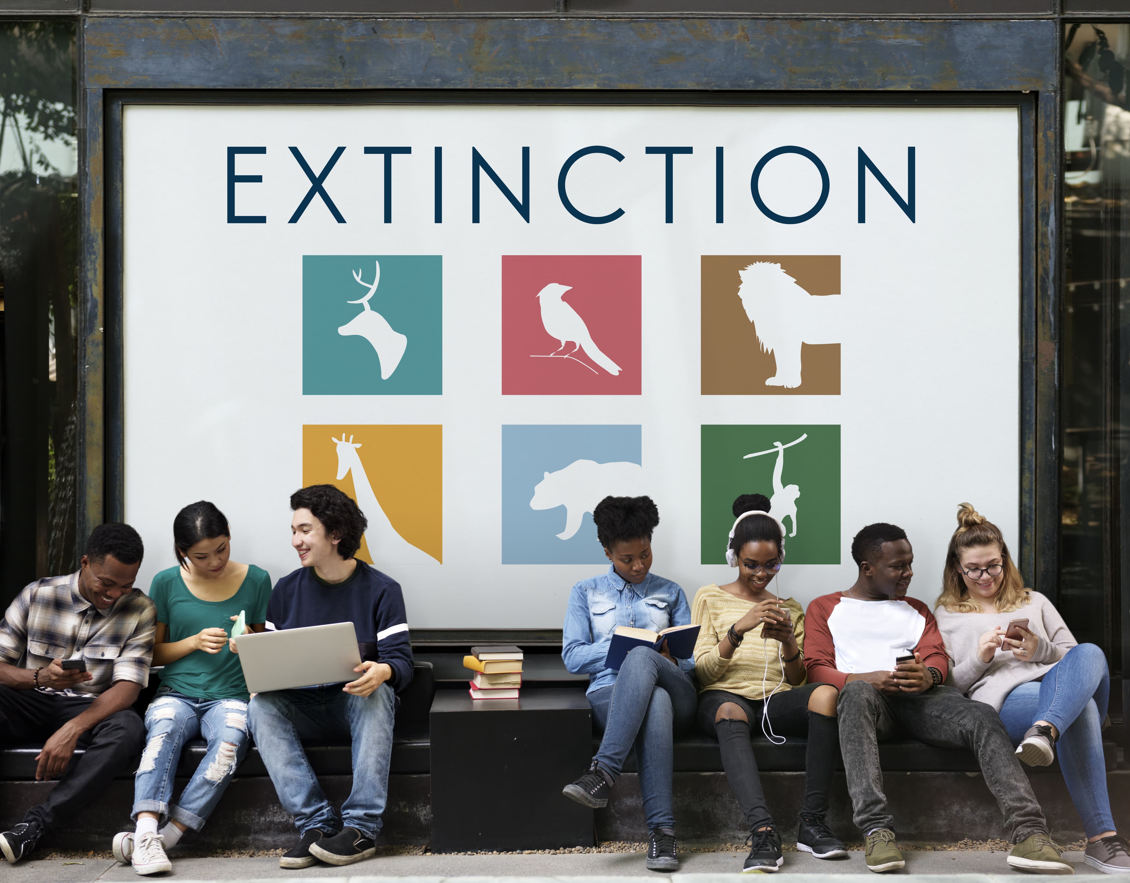 Are we living through a mass extinction event?