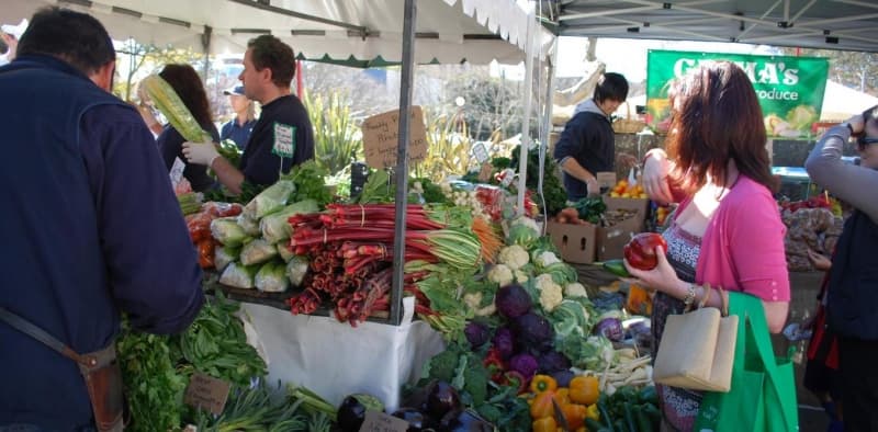 The state of Sydney’s Food Bowl