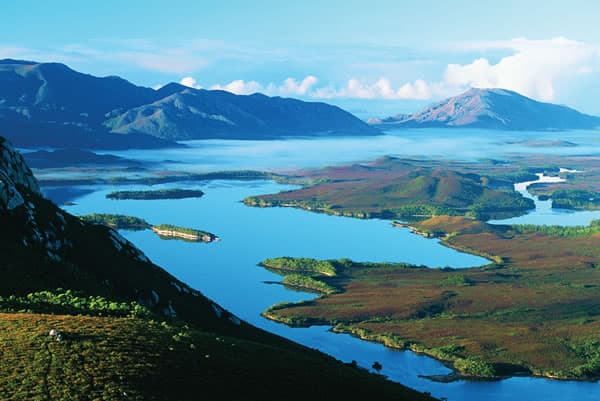 Tassie needs more people!