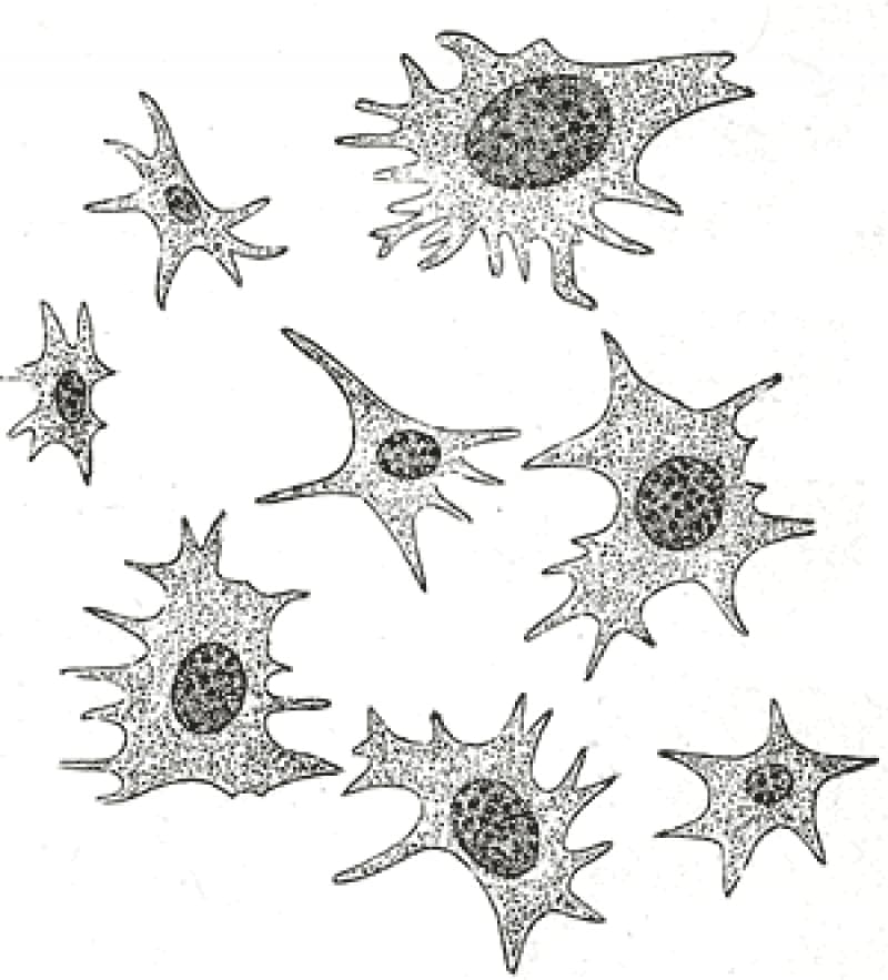 T.W.I.S.T. This Week in Science Today