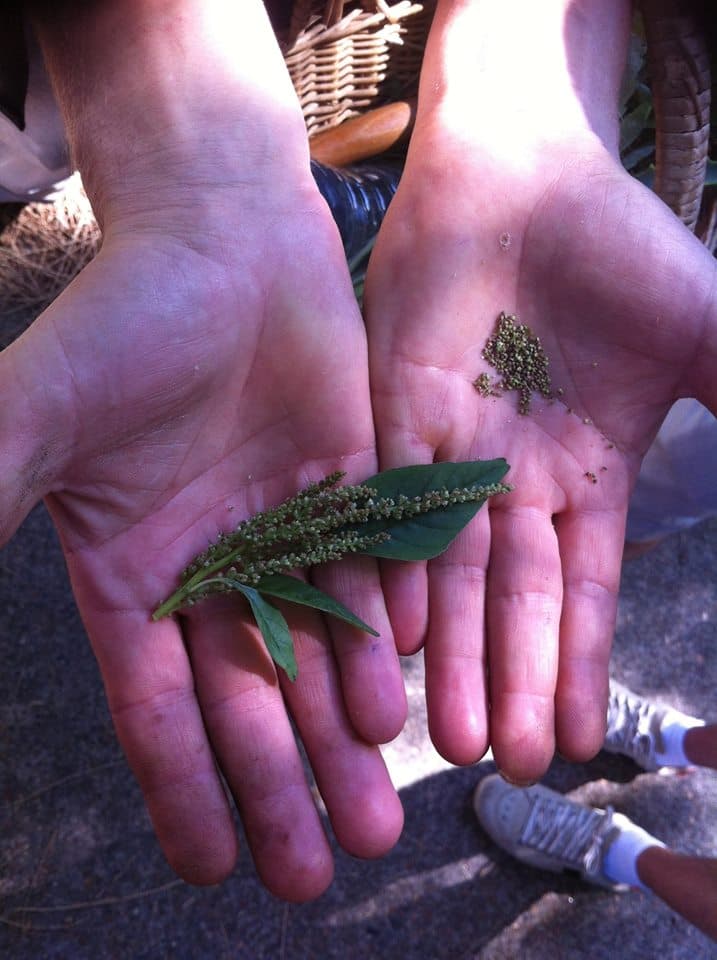 Event Guide 19 August 2017