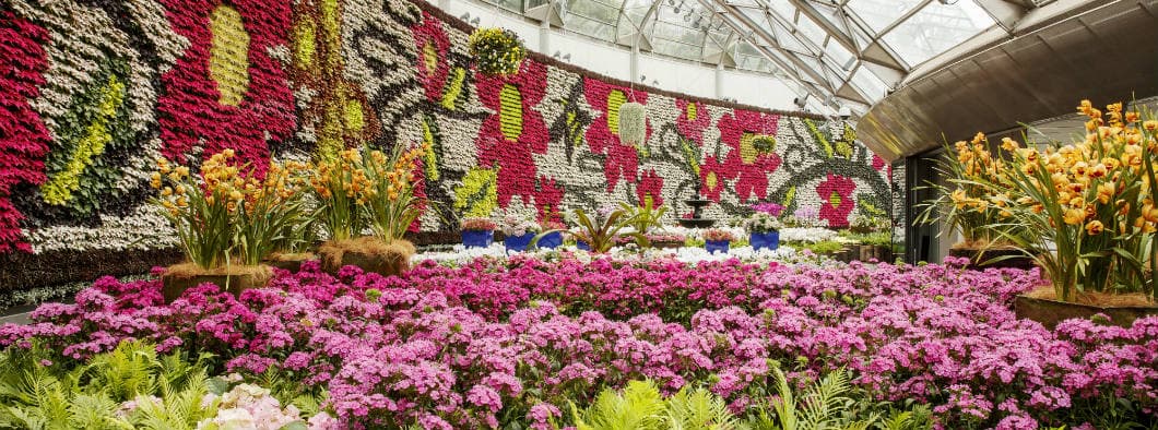 Event Guide 5 August 2017