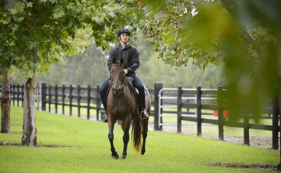 Kiss From A Rose: Bachie Breakdown