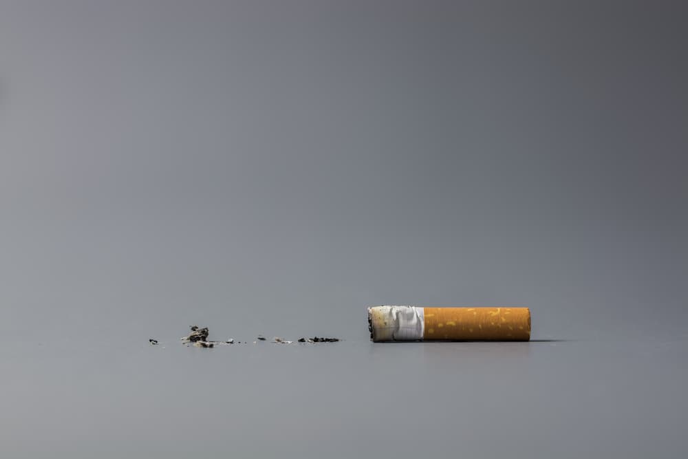 No Butts About It: Recycling cigarette butts