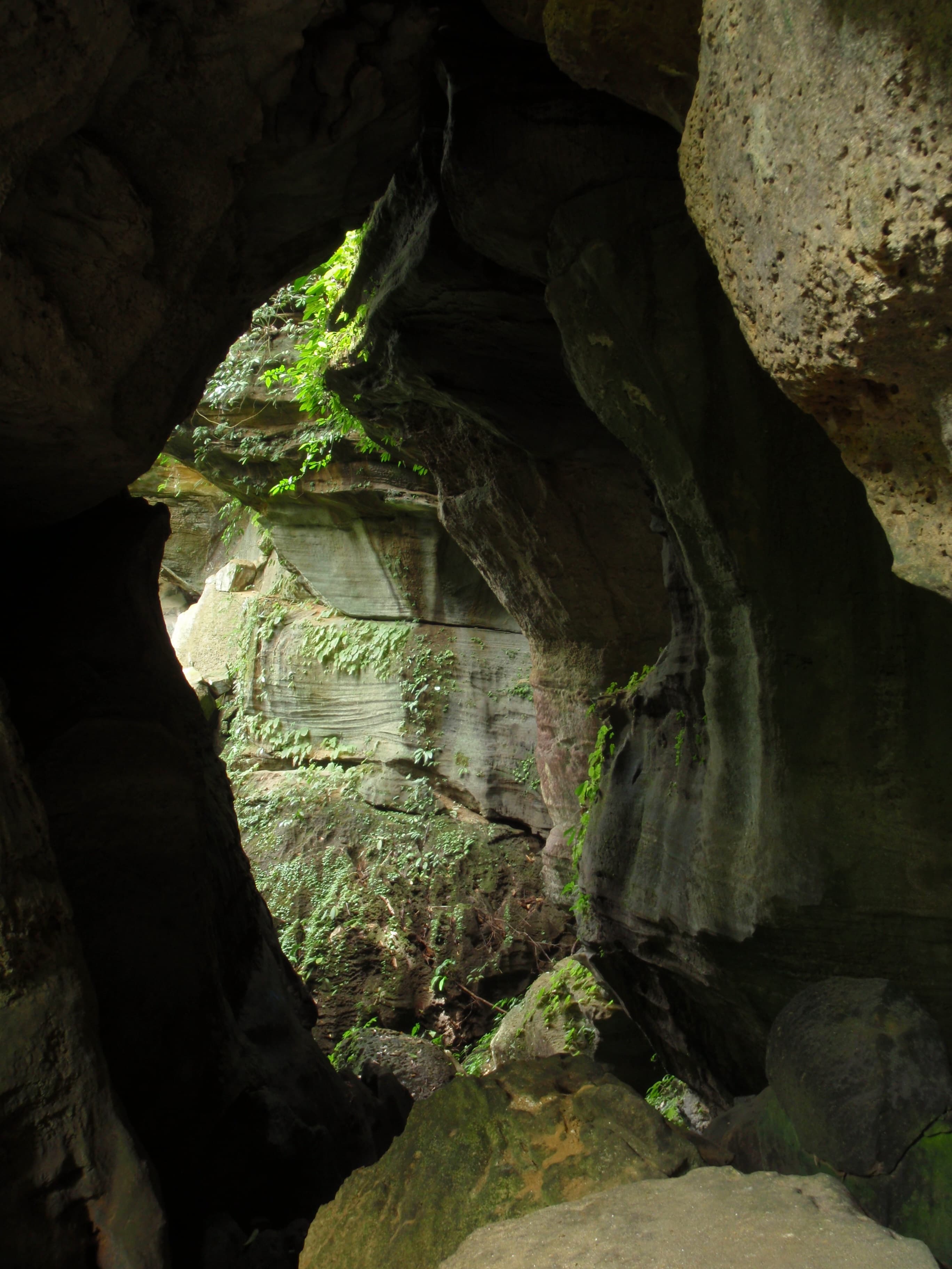 Old Teeth Show That Humans Were in Indonesia More Than 63,000 Years Ago