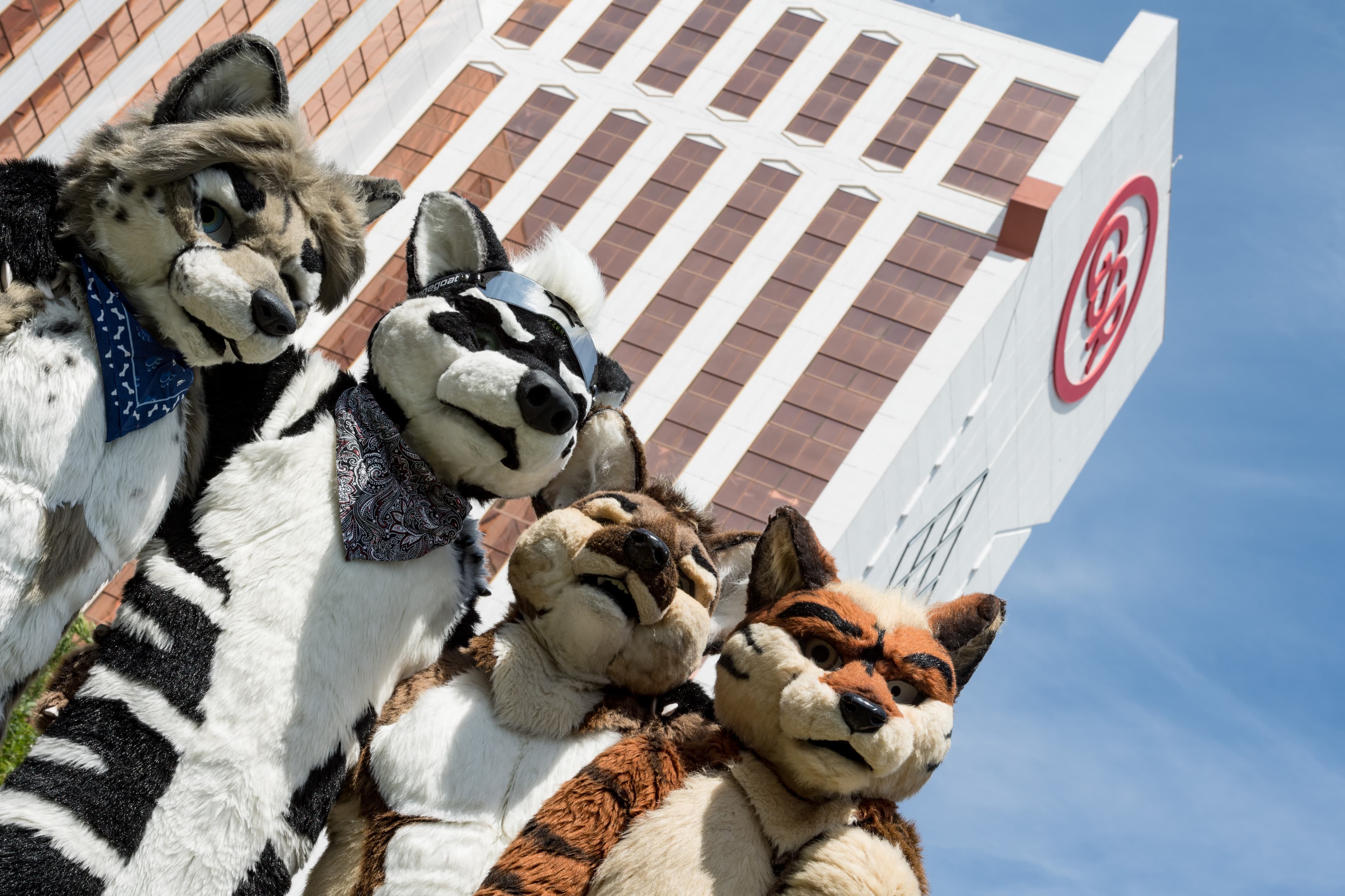 The Growth of Furry Culture in Australia