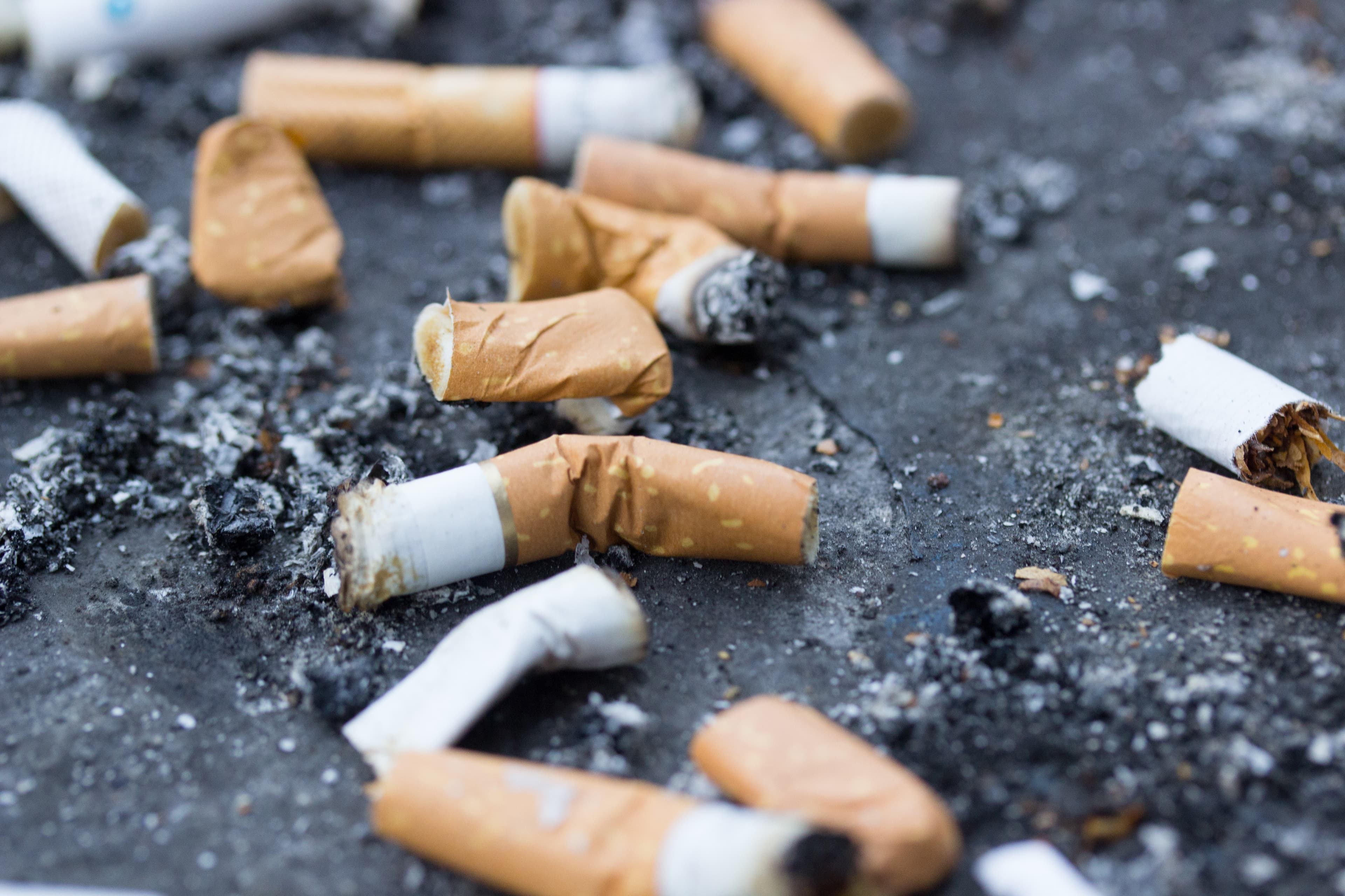 Recycling Cigarette Butts; Paving the Future