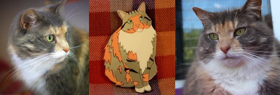 If you like cats, or if you like badges…