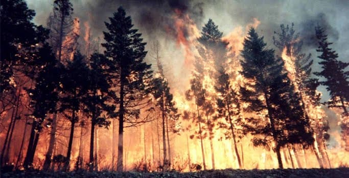 Natural Disasters Around The World