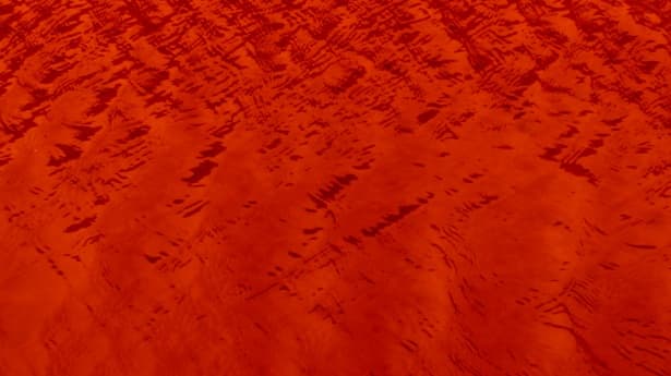 When algae turned the water at Bondi Beach blood red