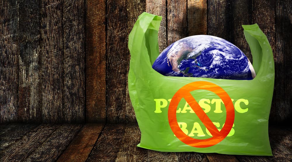 The future of the plastic bag