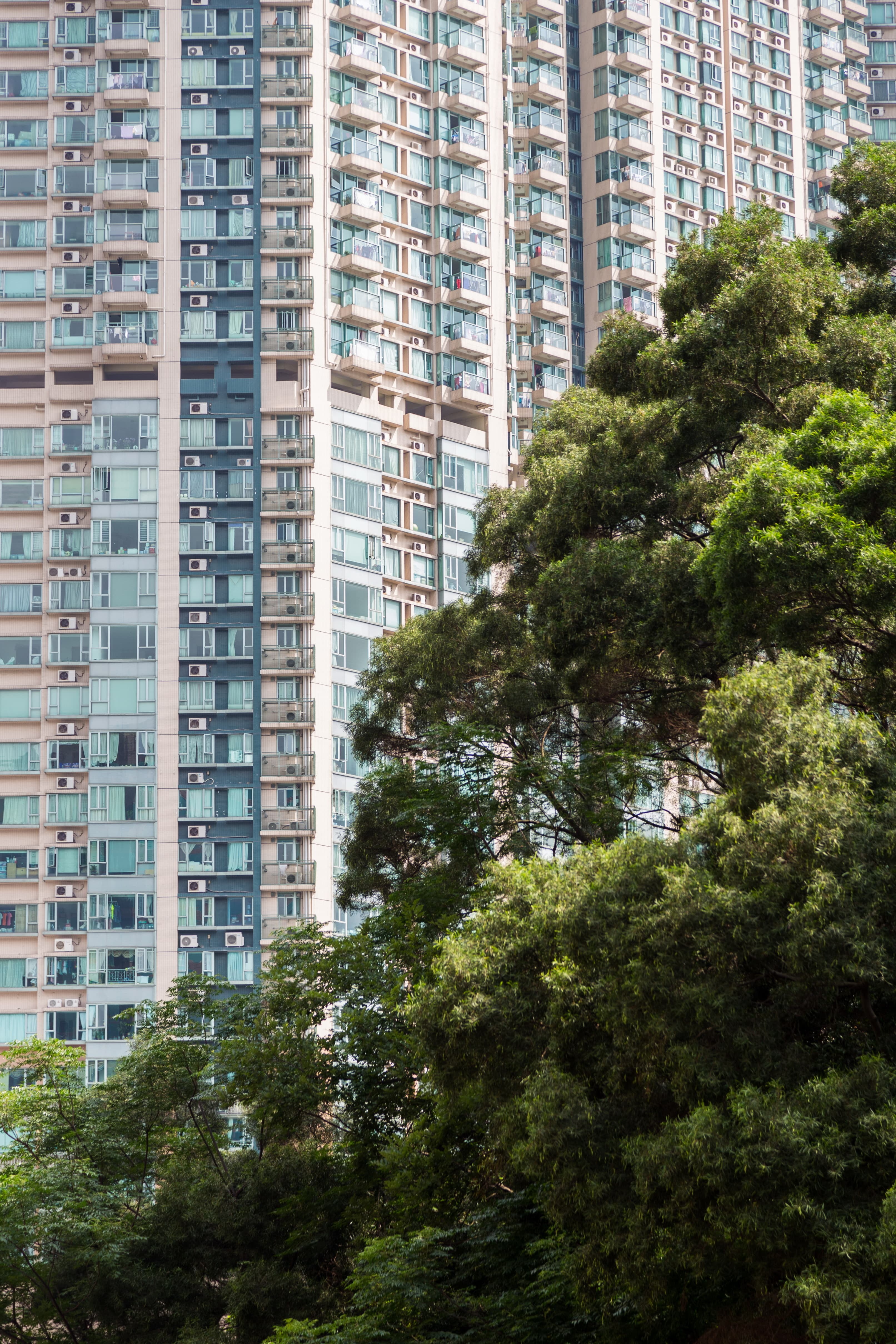 Equity and Health in a Higher Density City