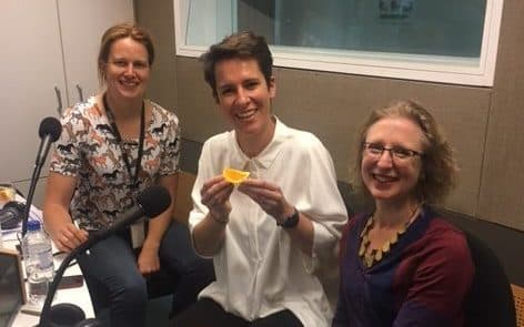 Why the archives’ need a shredder – with Julia Mant, Archives and Records Manager at NIDA