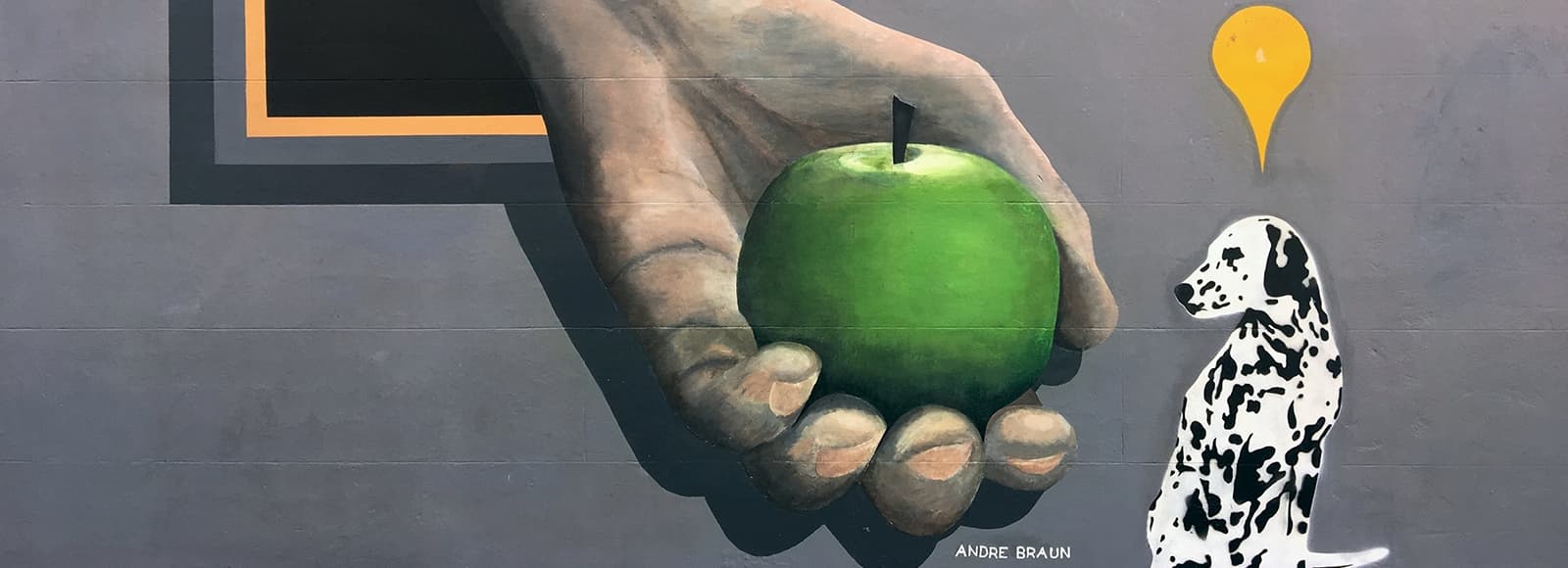 UNSW Art Exhibition | Seeing and Being Seen