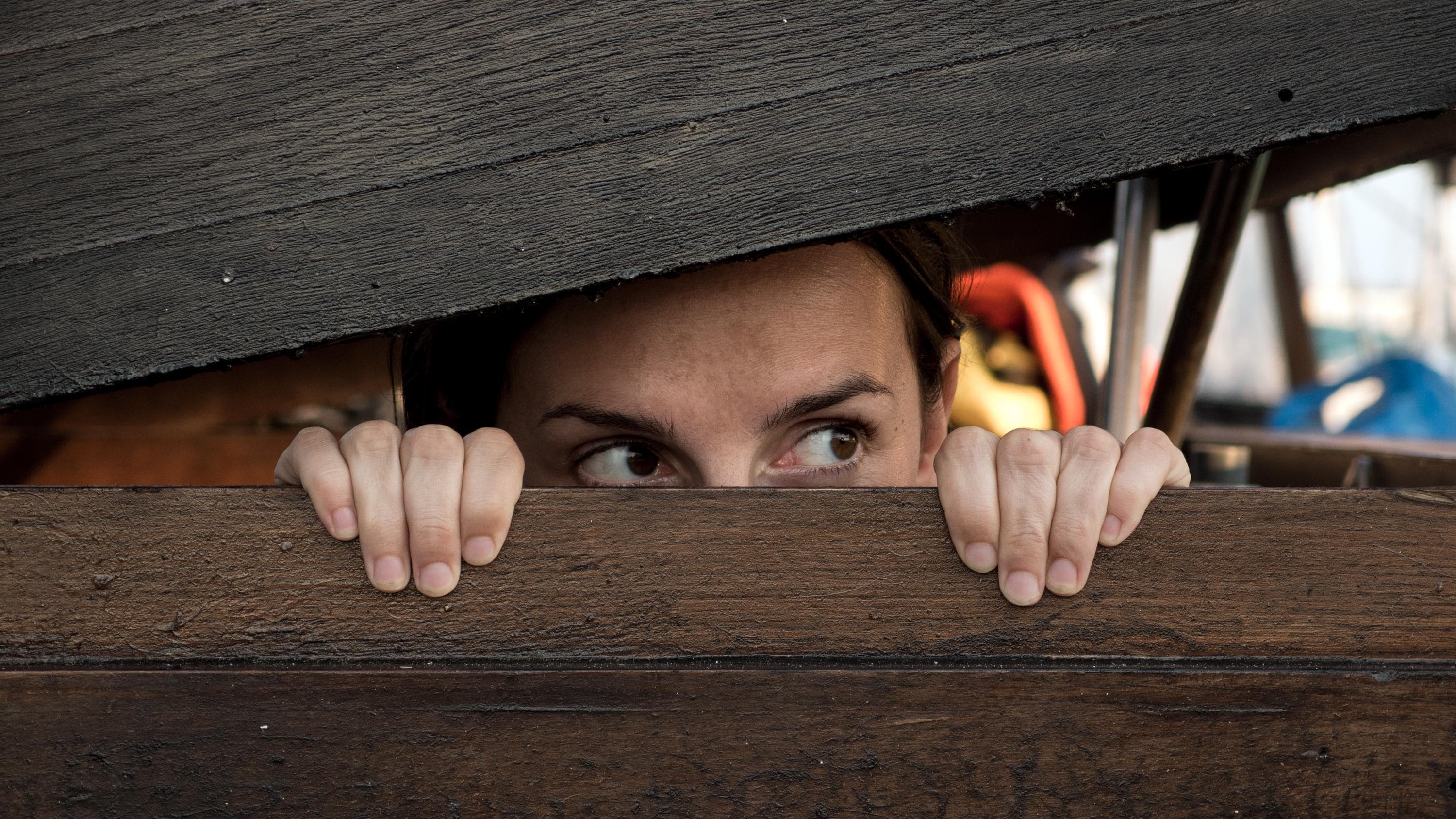 Competitive Hide and Seek: It’s real, and it’s amazing