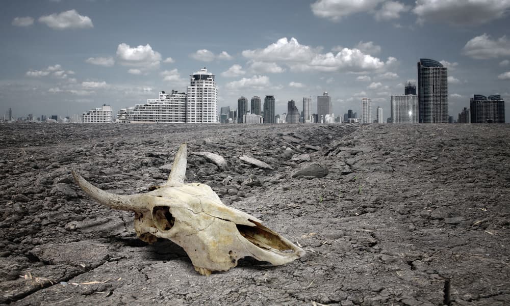 Think Breakfast: Extinction and the effects