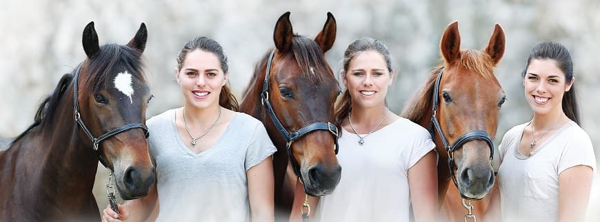 Book: Saving the Snowy Brumbies