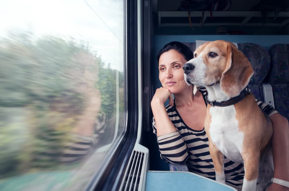 Should dogs be allowed on Sydney trains?