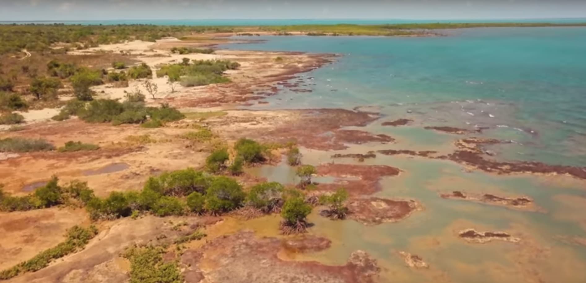 Gapu-Monuk Saltwater: a remarkable story of Indigenous sea rights