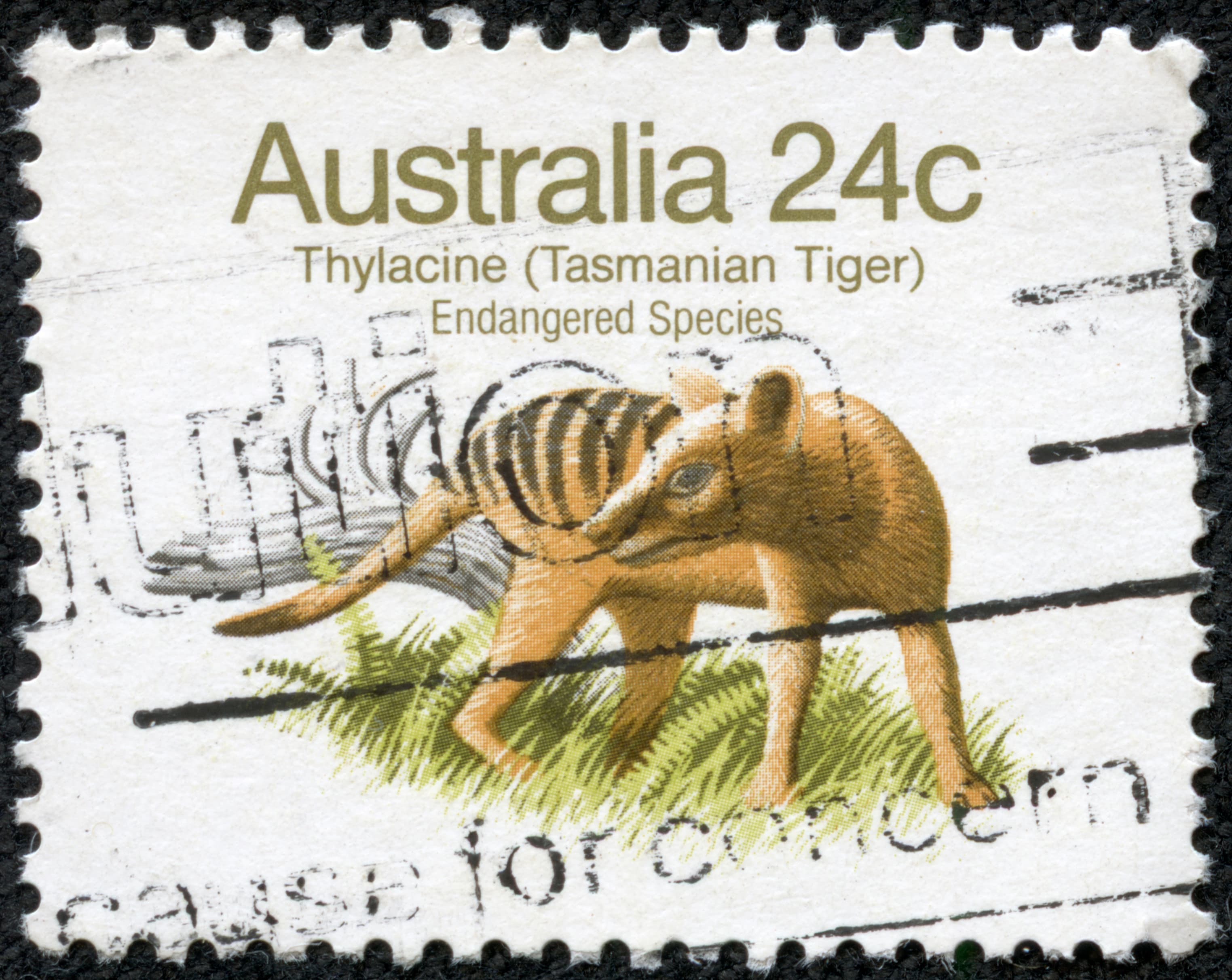 What happens when a species goes extinct?