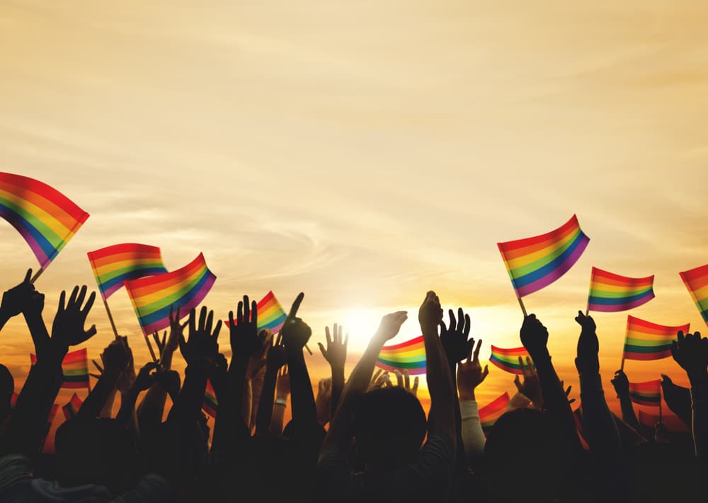 PFLAG and Postal Votes