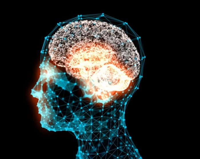 How much can machines tell us about the brain?