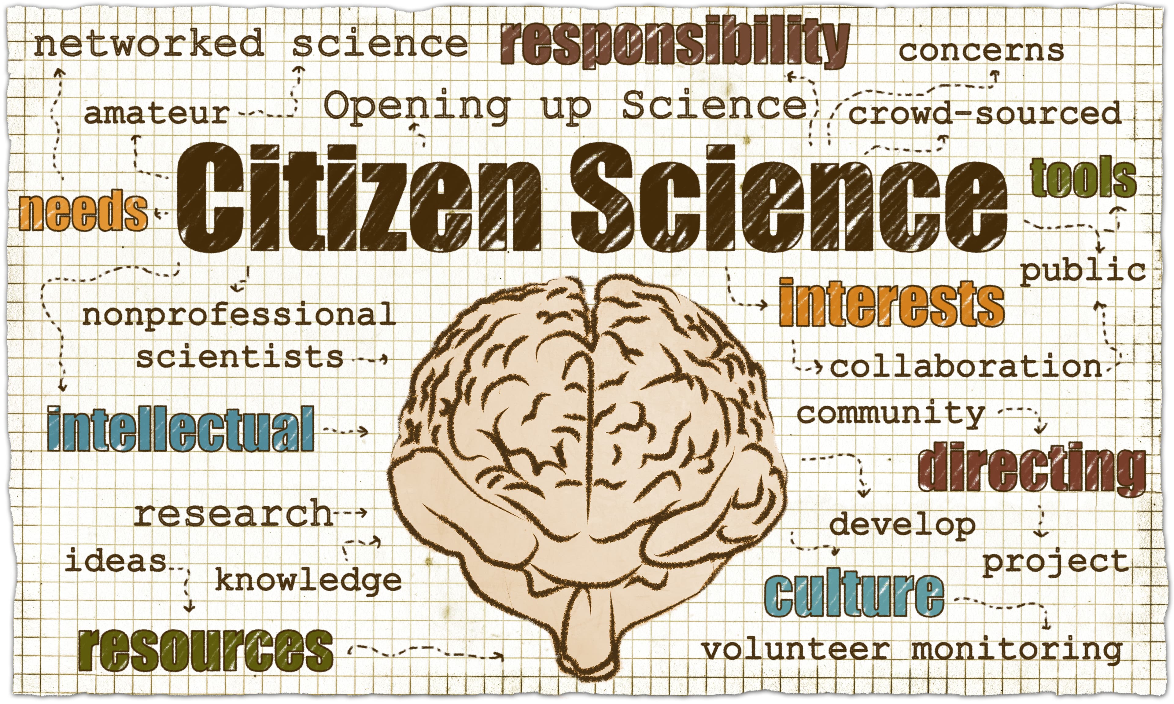 The Age Of Citizen Science