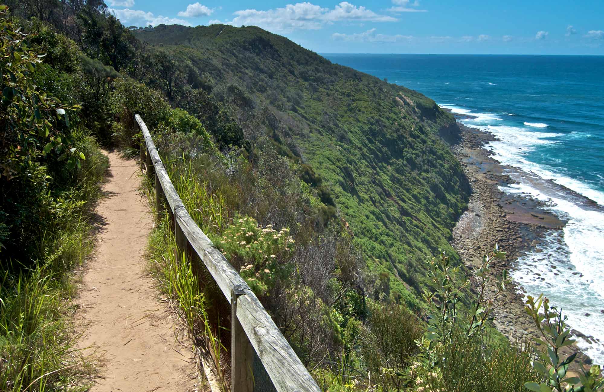 Best Summer Bushwalks