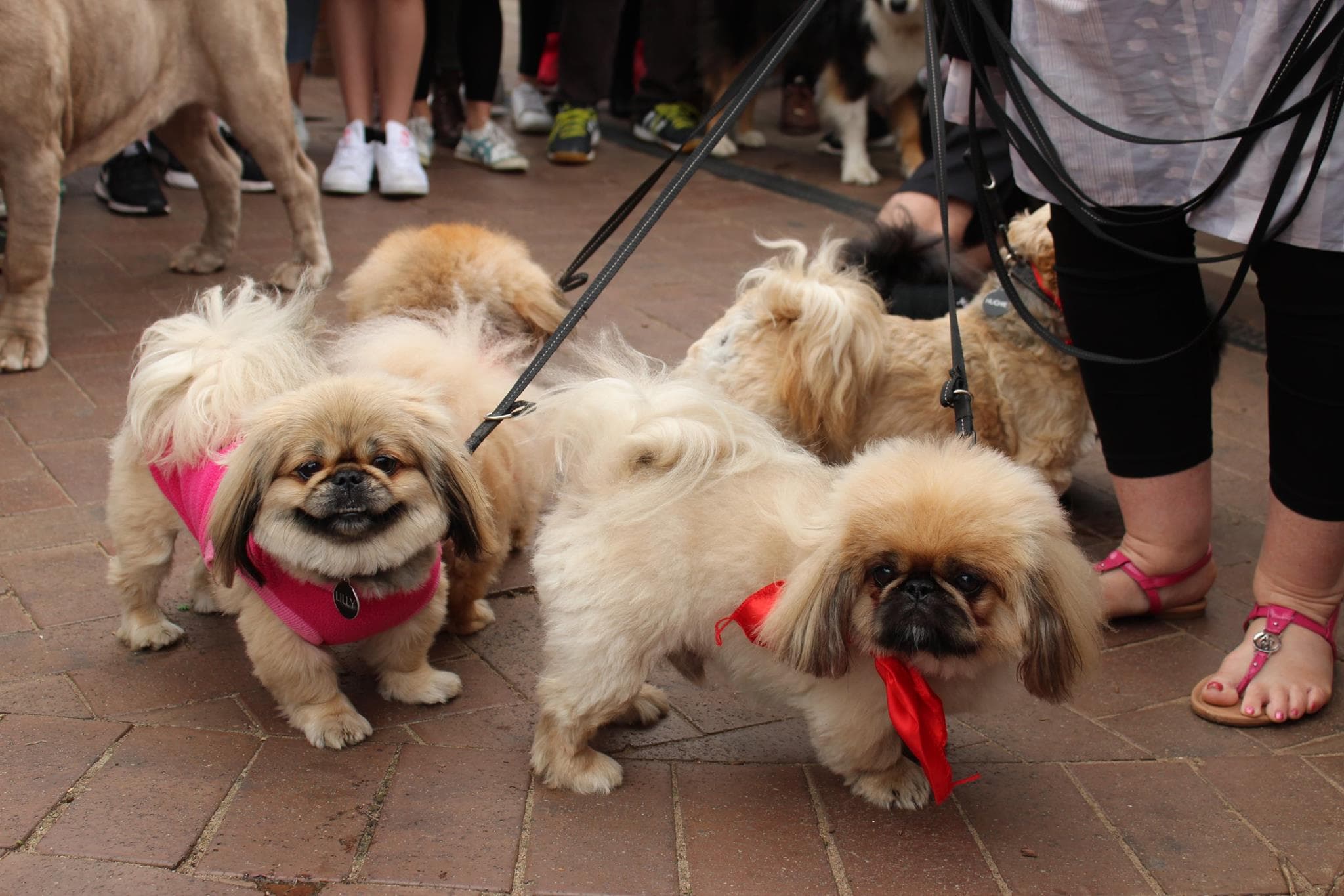 Weekend Event Guide 9/12/17