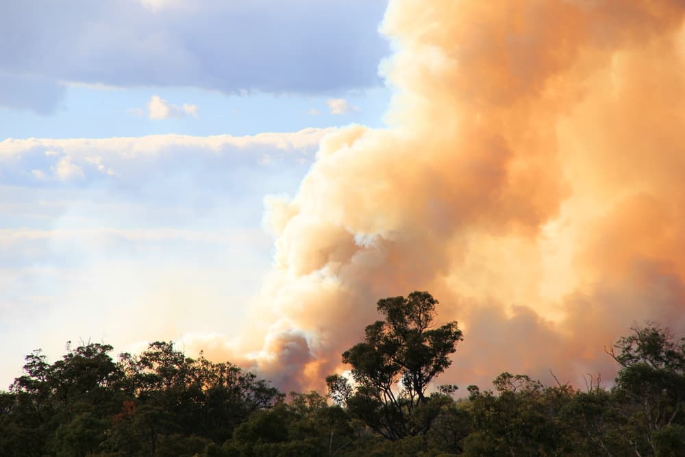 Firestorms: The Extreme Bushfires Causing Catastrophe