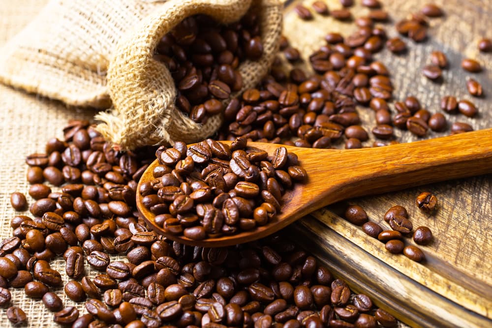 The Saturday Public Cupping