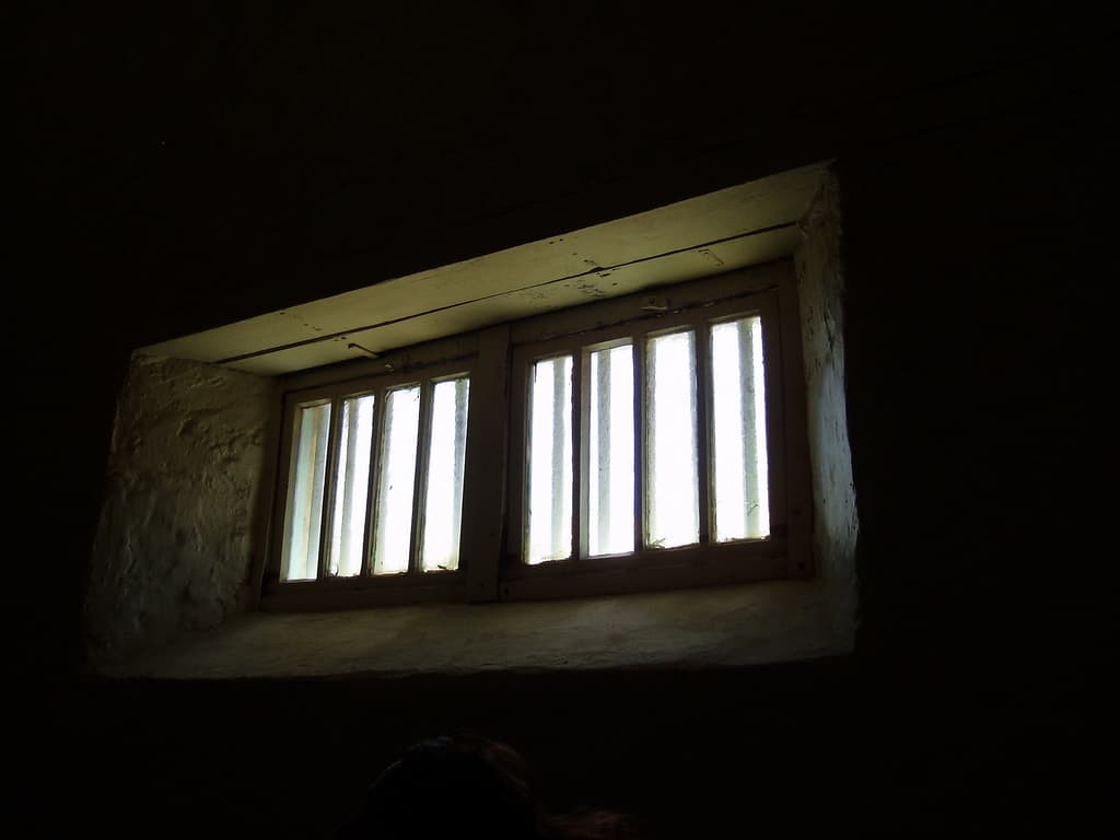 Dictionary of Sydney: Flash men, coves and rascals