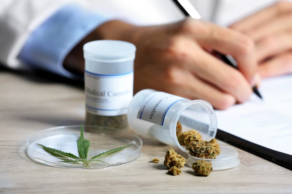 Medicinal Cannabis: Australia to become biggest producers