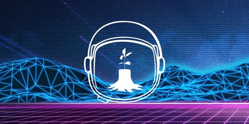 Newkind Festival – Tasmania