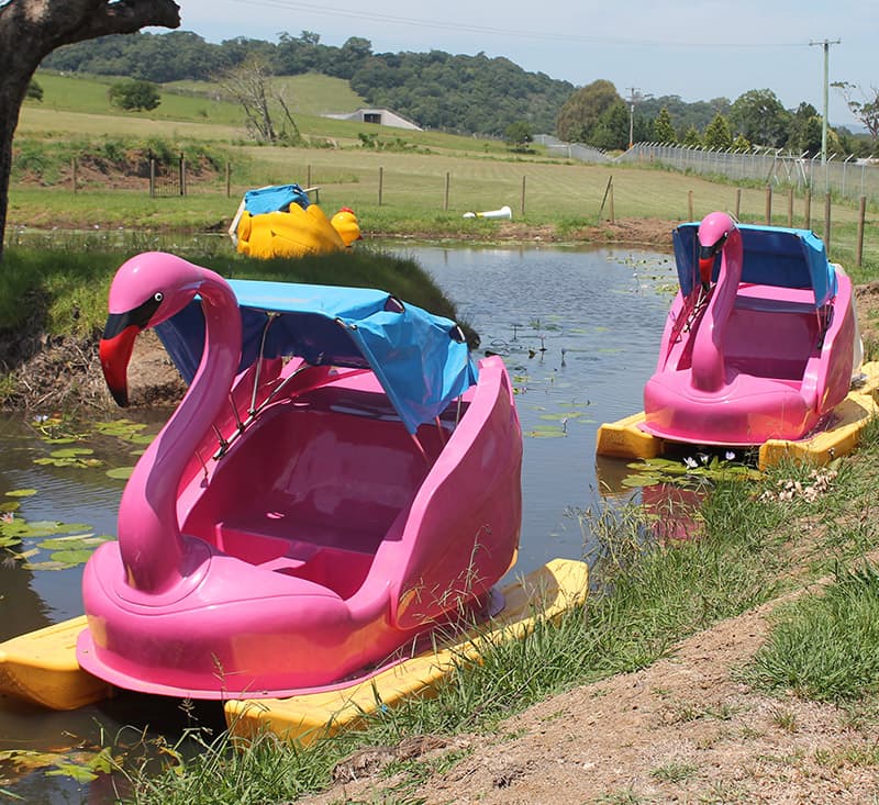 You’re never too old to have fun at Granties Maze