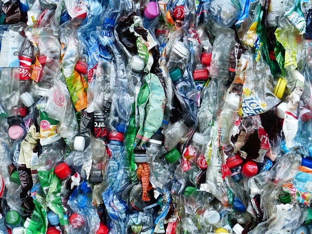 Plastic Ban A Sign Of Shifting Attitudes