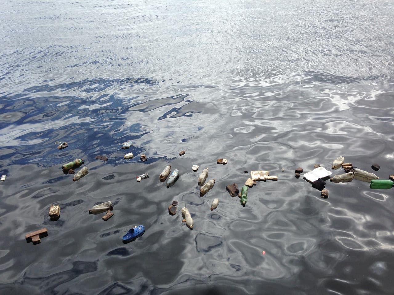 Plastic Waste in our Oceans