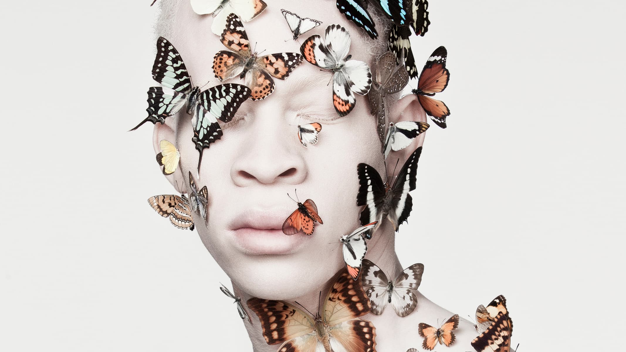 Antidote’s The Trace: The City of Ladies