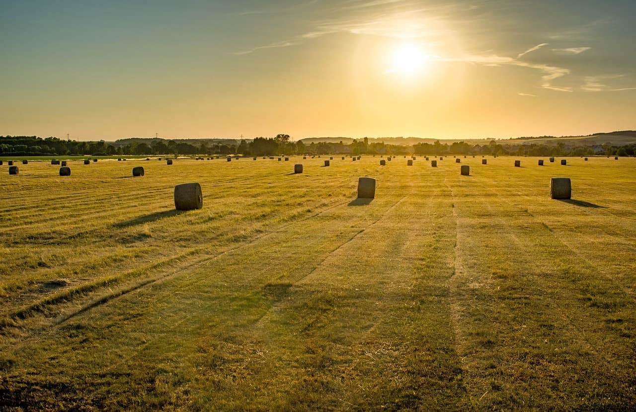 South Africa Passes Motion To Seize Land From White Farmers Without Compensation