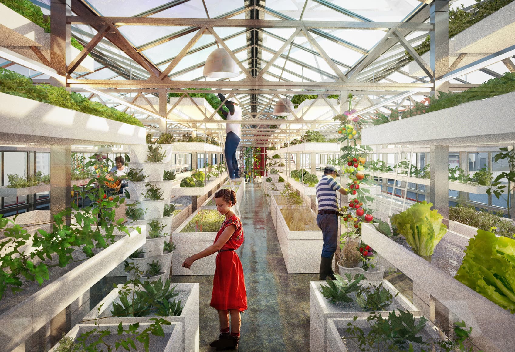 The Ripple Effect of Urban Farming